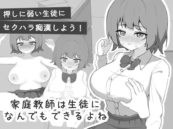 新汉化[互动SLG/抚摸触摸/动态] 家庭教师对学生什么都能做吧 家庭教師は生徒になんでもできるよね 内嵌AI汉化版 [140M]-爱玩ACG