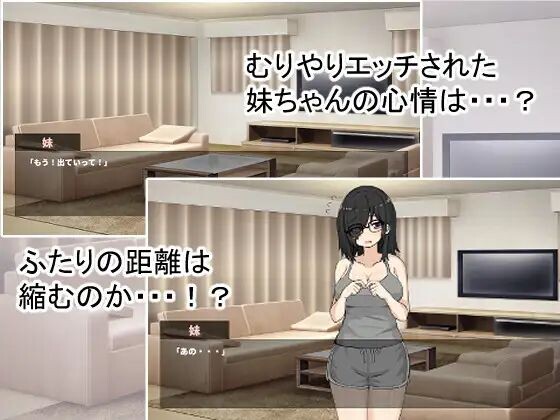 图片[2]-新作[互动SLG/巨乳动态] 对可爱的妹妹强行做色色的事也没关系吧！？ かわいいいもうとちゃんには無理やりエッチしちゃっていいよね！? 生肉版 [120M]-爱玩ACG